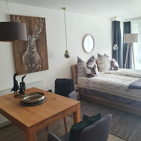 Maurers Schlierseetraum 6, Studio 455 Mit 42 Qm Neu Renoviert, Erdgeschoss Mit Eingezaeunter Terrasse In Ruhiger Lage Am Kirchbichlweg 8 Eksteriør bilde