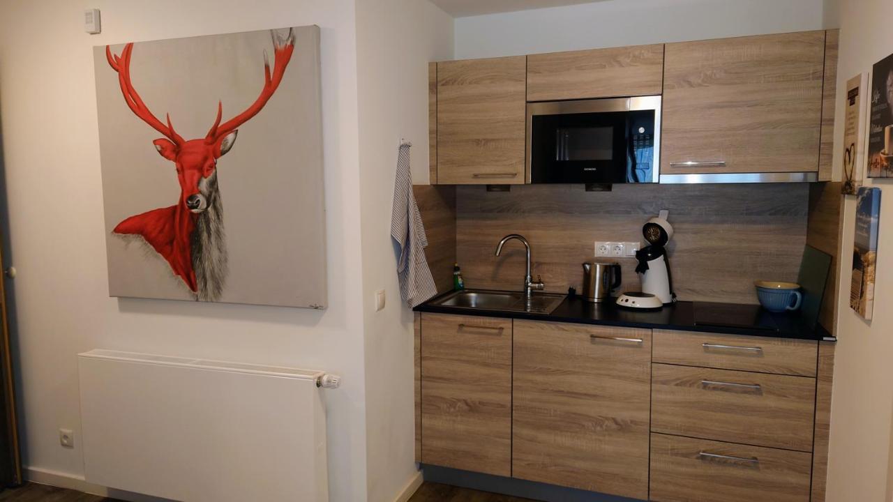 Maurers Schlierseetraum 6, Studio 455 Mit 42 Qm Neu Renoviert, Erdgeschoss Mit Eingezaeunter Terrasse In Ruhiger Lage Am Kirchbichlweg 8 Eksteriør bilde