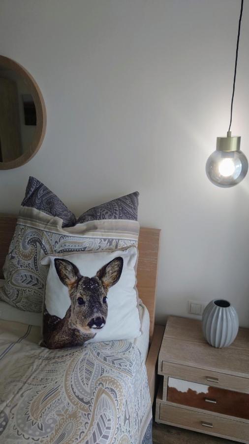 Maurers Schlierseetraum 6, Studio 455 Mit 42 Qm Neu Renoviert, Erdgeschoss Mit Eingezaeunter Terrasse In Ruhiger Lage Am Kirchbichlweg 8 Eksteriør bilde
