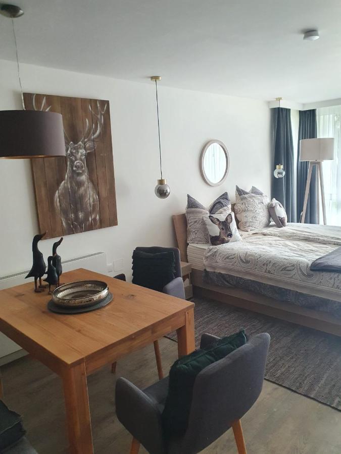 Maurers Schlierseetraum 6, Studio 455 Mit 42 Qm Neu Renoviert, Erdgeschoss Mit Eingezaeunter Terrasse In Ruhiger Lage Am Kirchbichlweg 8 Eksteriør bilde